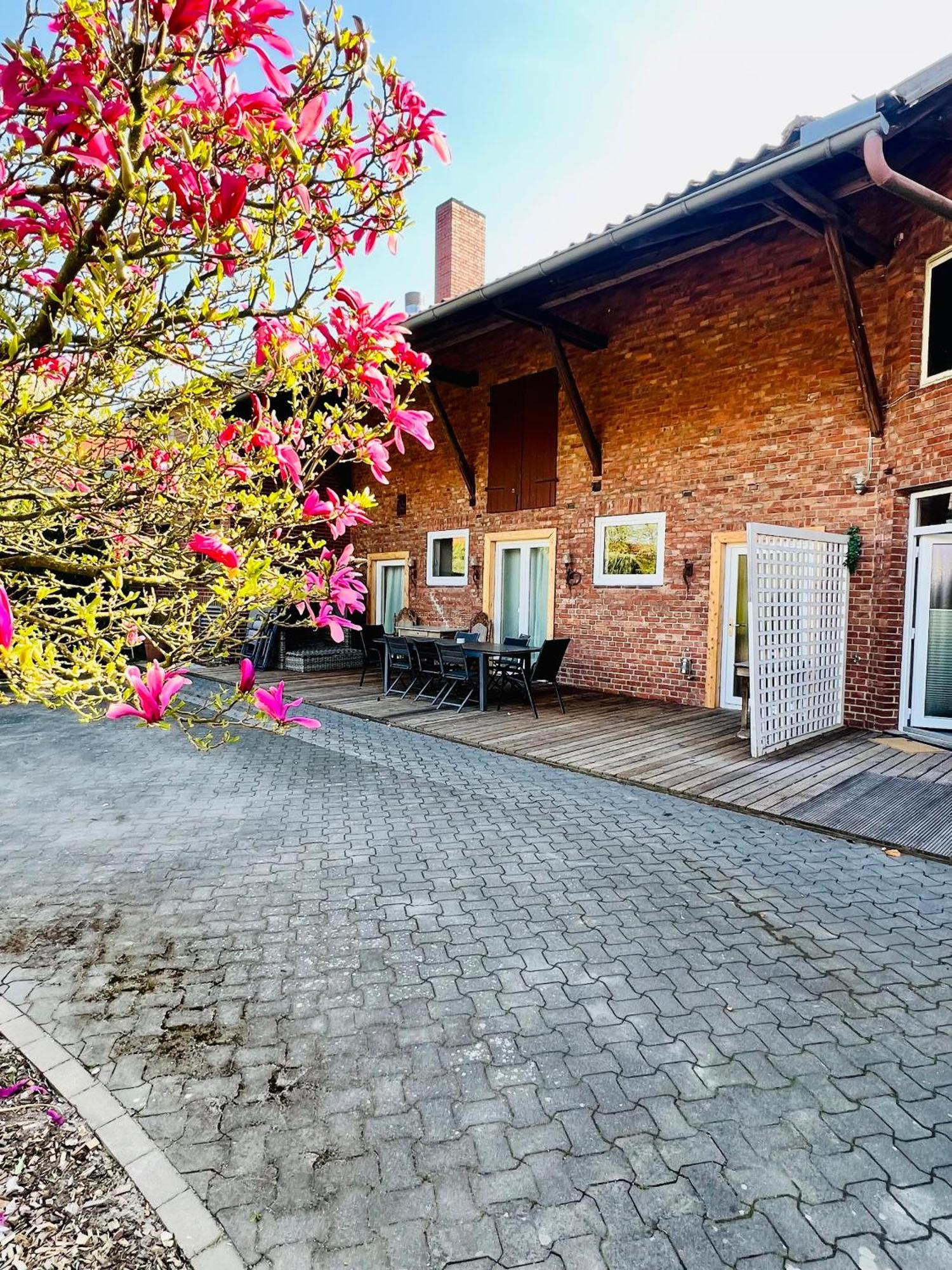 Ferienwohnungen Maedchen ヴンストルフ エクステリア 写真